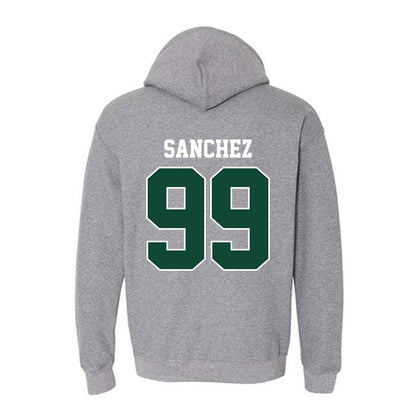 Portland State - NCAA Softball : Elise Sanchez - Classic Shersey Hooded Sweatshirt-1