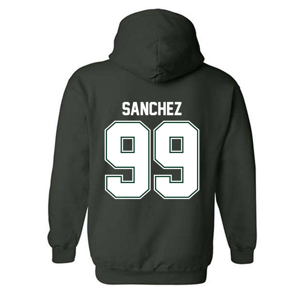 Portland State - NCAA Softball : Elise Sanchez - Classic Shersey Hooded Sweatshirt-1
