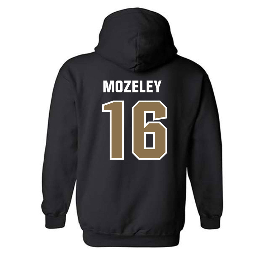 UNC Pembroke - NCAA Baseball : Mason Mozeley - Classic Shersey Hooded Sweatshirt-1
