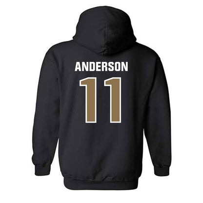 UNC Pembroke - NCAA Men's Basketball : Demar Anderson - Classic Shersey Hooded Sweatshirt-1