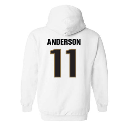 UNC Pembroke - NCAA Men's Basketball : Demar Anderson - Classic Shersey Hooded Sweatshirt-1
