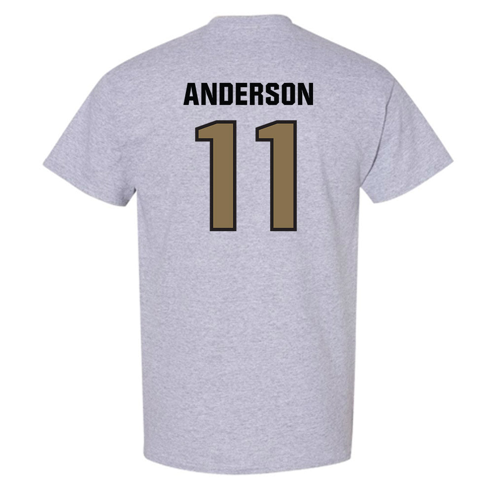 UNC Pembroke - NCAA Men's Basketball : Demar Anderson - Classic Shersey T-Shirt-1