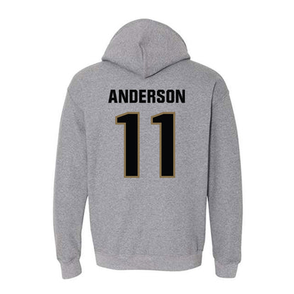 UNC Pembroke - NCAA Men's Basketball : Demar Anderson - Classic Shersey Hooded Sweatshirt-1
