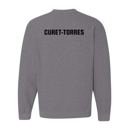 UNC Pembroke - NCAA Women's Swimming & Diving : Paola Curet-Torres - Classic Shersey Crewneck Sweatshirt-1