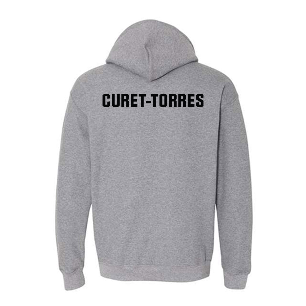 UNC Pembroke - NCAA Women's Swimming & Diving : Paola Curet-Torres - Classic Shersey Hooded Sweatshirt-1