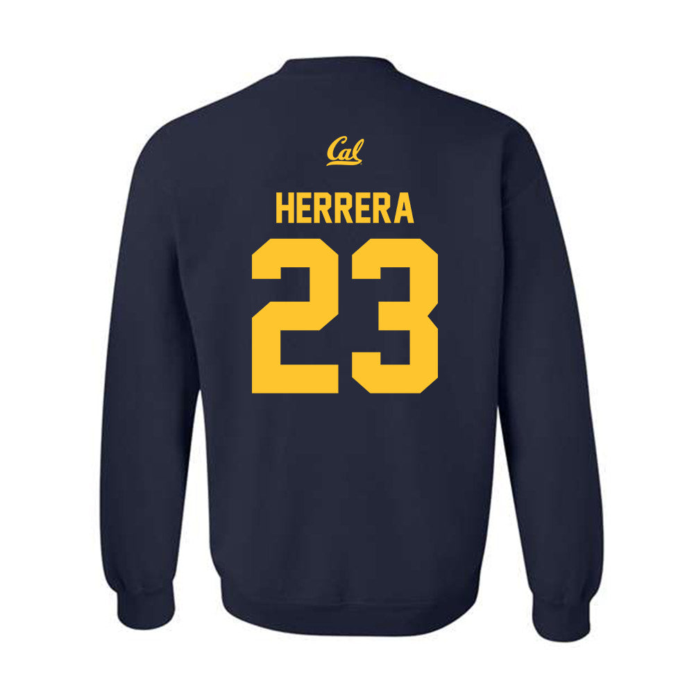 UC Berkeley - NCAA Softball : Alyssa Herrera - Sports Shersey Crewneck Sweatshirt-1