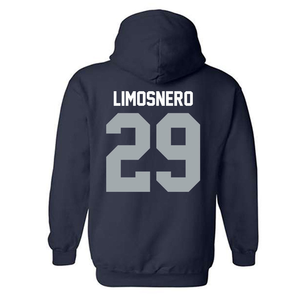 Utah State - NCAA Softball : Carly Limosnero - Hooded Sweatshirt-1