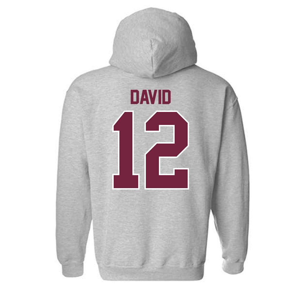 SIU Carbondale - NCAA Women's Soccer : Ziv David - Hooded Sweatshirt-1