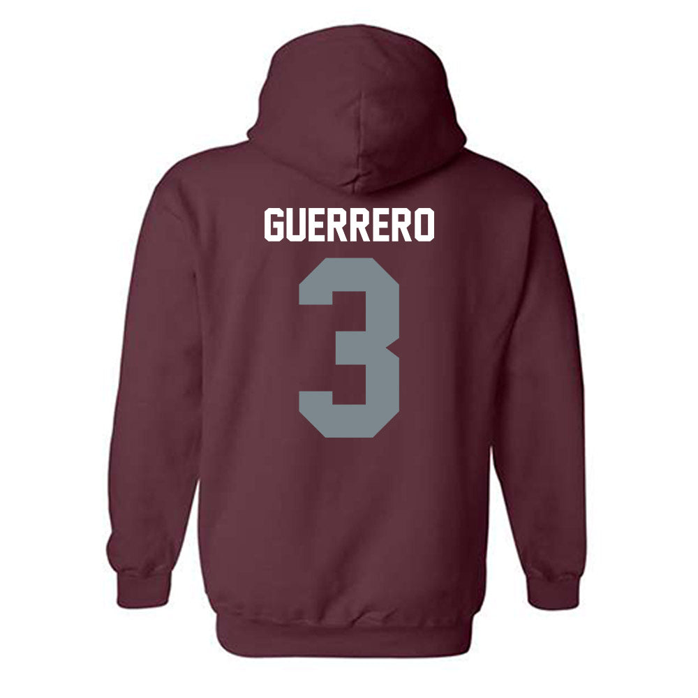 SIU Carbondale - NCAA Baseball : Julio Guerrero - Hooded Sweatshirt-1