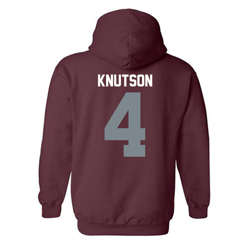 SIU Carbondale - NCAA Softball : Amanda Knutson - Hooded Sweatshirt-1