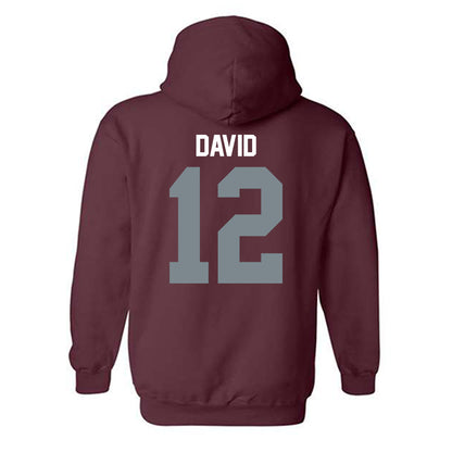 SIU Carbondale - NCAA Women's Soccer : Ziv David - Hooded Sweatshirt-1