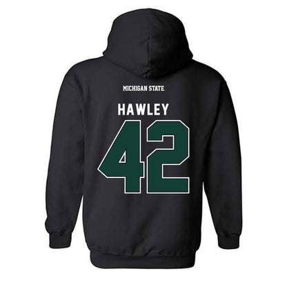 Michigan State - NCAA Softball : Hannah Hawley - Hooded Sweatshirt