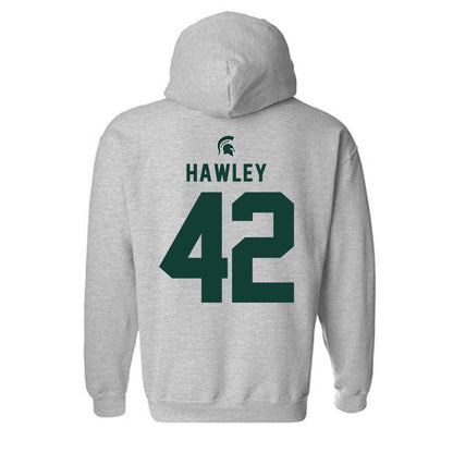 Michigan State - NCAA Softball : Hannah Hawley - Generic Shersey Hooded Sweatshirt
