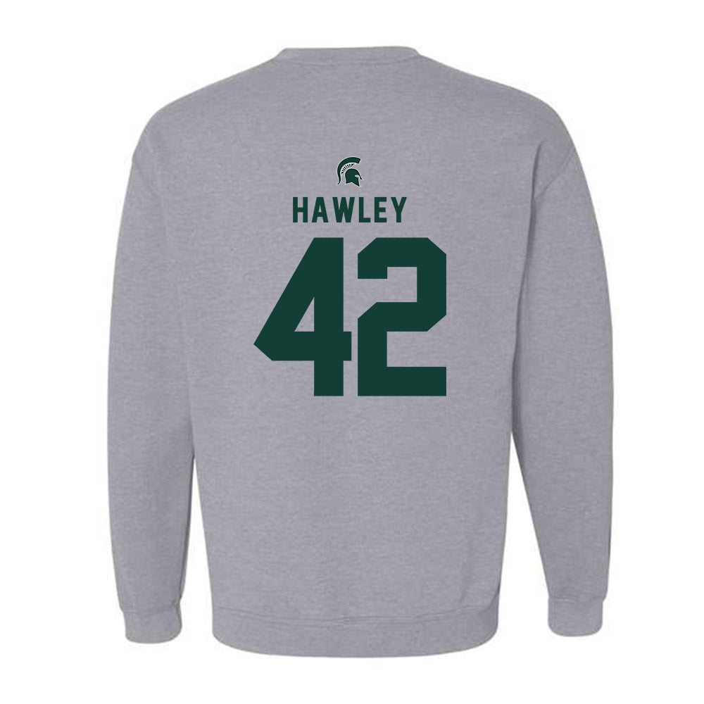 Michigan State - NCAA Softball : Hannah Hawley - Generic Shersey Crewneck Sweatshirt