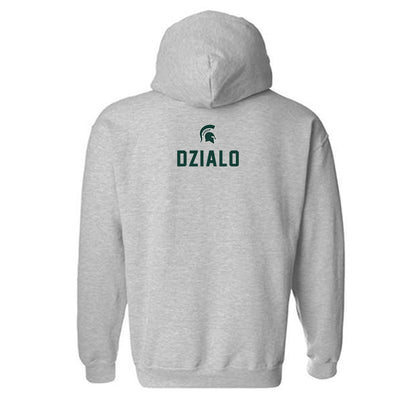 Michigan State - NCAA Women's Rowing : Anya Dzialo - Generic Shersey Hooded Sweatshirt-1