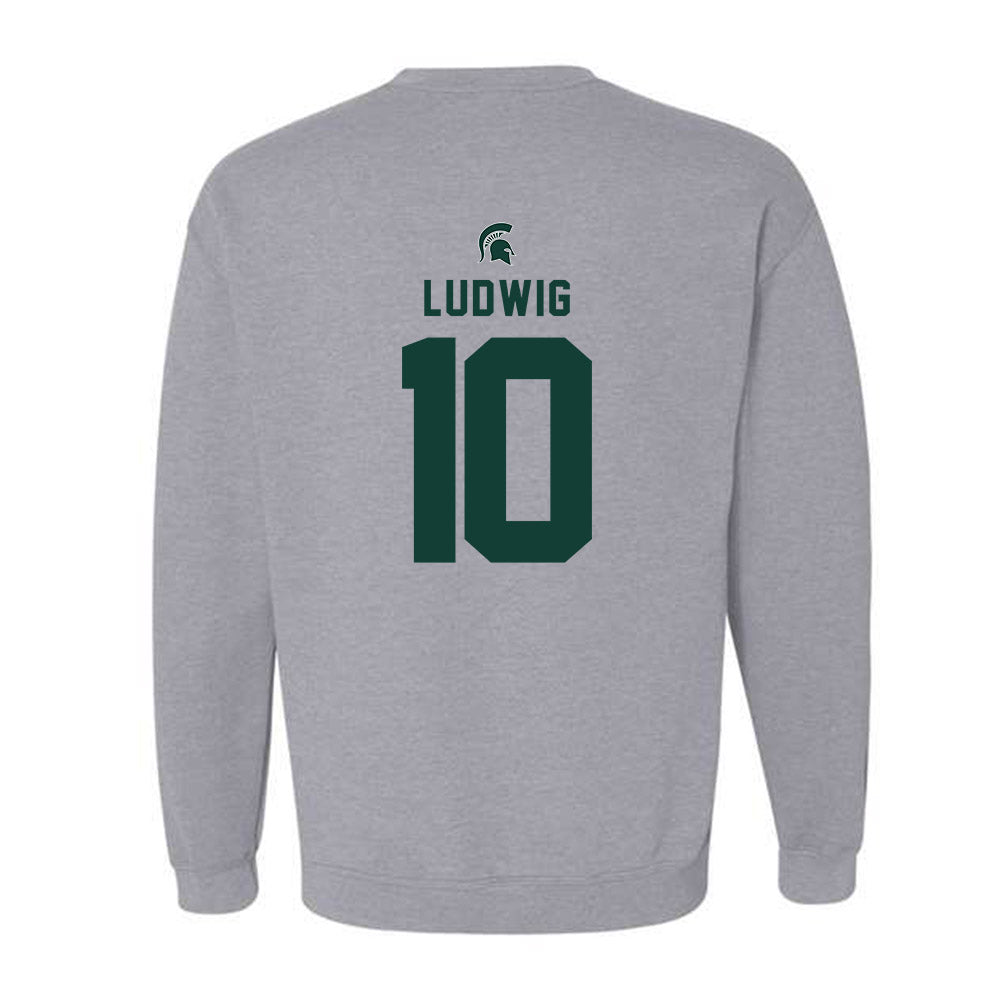 Michigan State - NCAA Men's Soccer : Richie Ludwig - Generic Shersey Crewneck Sweatshirt-1