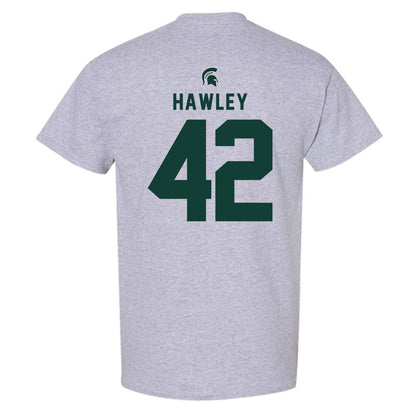Michigan State - NCAA Softball : Hannah Hawley - Generic Shersey T-Shirt