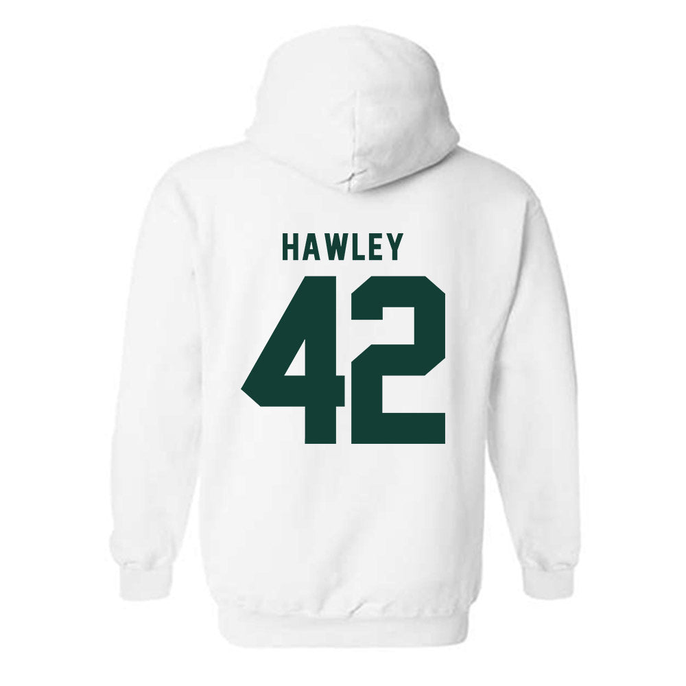 Michigan State - NCAA Softball : Hannah Hawley - Hooded Sweatshirt