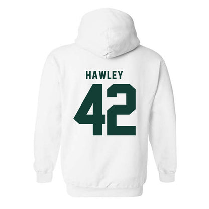Michigan State - NCAA Softball : Hannah Hawley - Hooded Sweatshirt