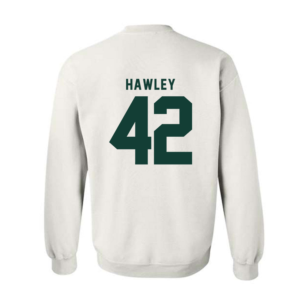 Michigan State - NCAA Softball : Hannah Hawley - Crewneck Sweatshirt