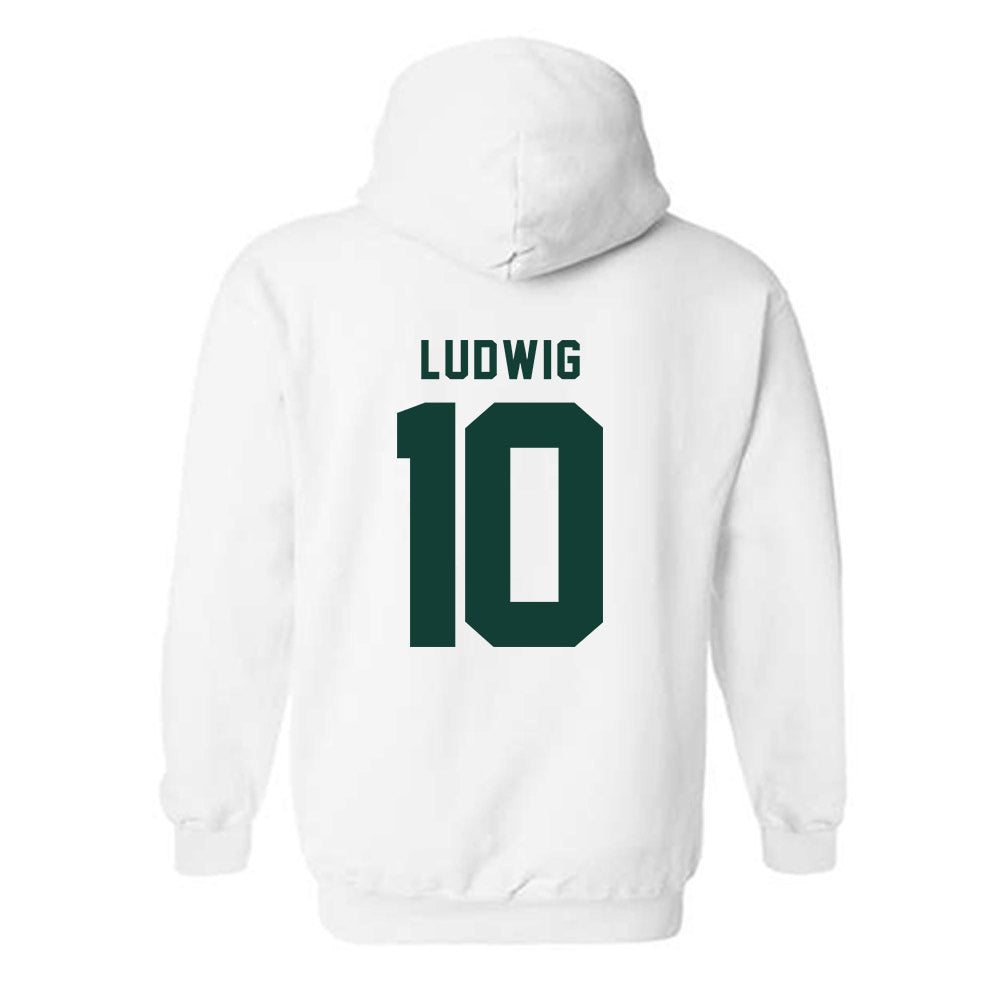 Michigan State - NCAA Men's Soccer : Richie Ludwig - Generic Shersey Hooded Sweatshirt-1