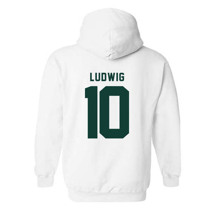 Michigan State - NCAA Men's Soccer : Richie Ludwig - Generic Shersey Hooded Sweatshirt-1