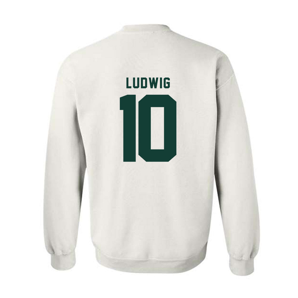 Michigan State - NCAA Men's Soccer : Richie Ludwig - Generic Shersey Crewneck Sweatshirt-1