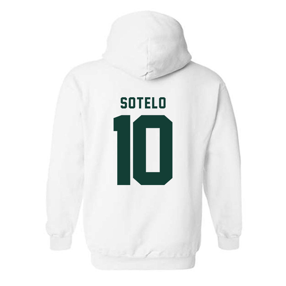 Michigan State - NCAA Women's Basketball : Ines Sotelo - Generic Shersey Hooded Sweatshirt-1