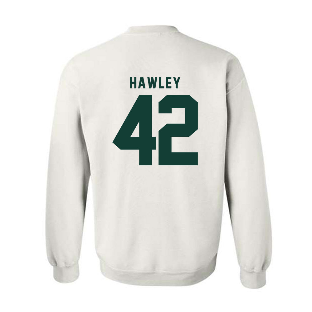 Michigan State - NCAA Softball : Hannah Hawley - Classic Shersey Crewneck Sweatshirt