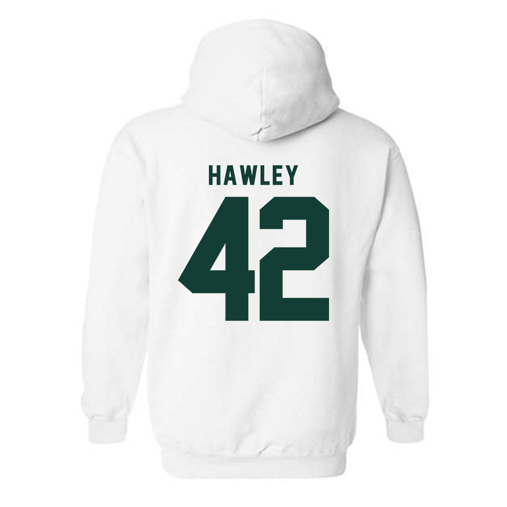 Michigan State - NCAA Softball : Hannah Hawley - Classic Shersey Hooded Sweatshirt
