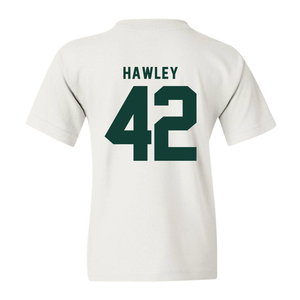 Michigan State - NCAA Softball : Hannah Hawley - Classic Shersey Youth T-Shirt