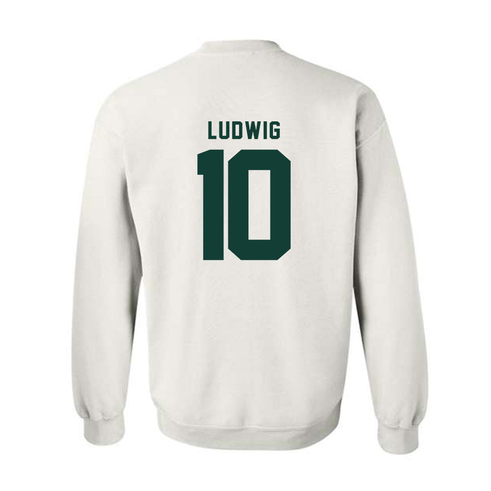 Michigan State - NCAA Men's Soccer : Richie Ludwig - Classic Shersey Crewneck Sweatshirt-1