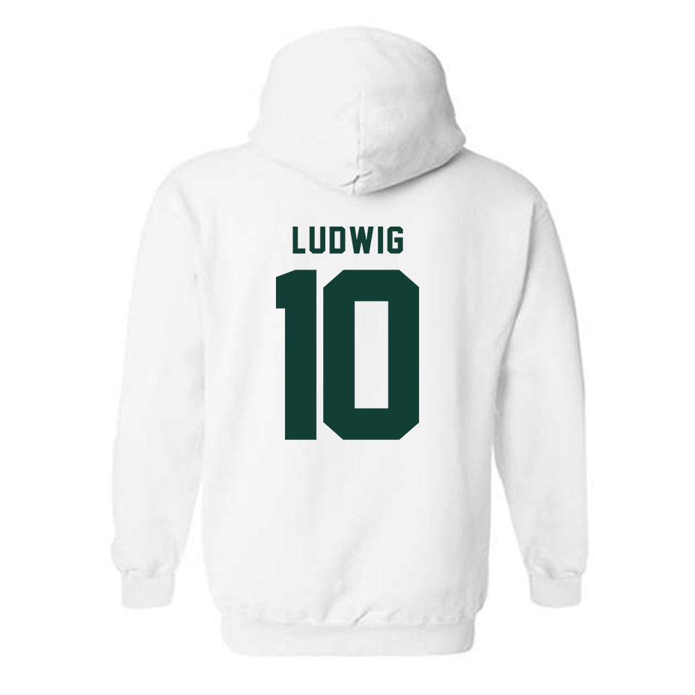 Michigan State - NCAA Men's Soccer : Richie Ludwig - Classic Shersey Hooded Sweatshirt-1