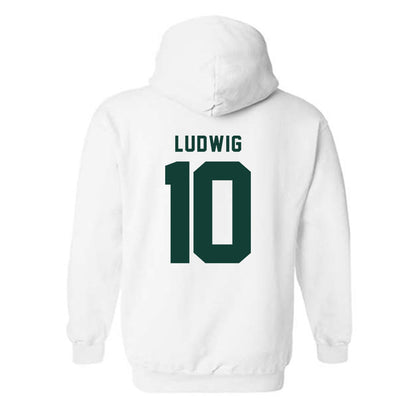 Michigan State - NCAA Men's Soccer : Richie Ludwig - Classic Shersey Hooded Sweatshirt-1