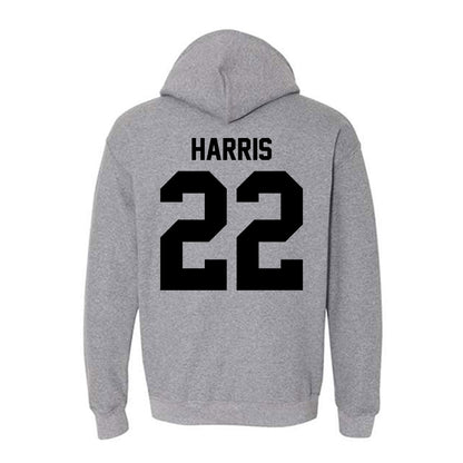 Pitt State - NCAA Baseball : Cooper Harris Harris - Hooded Sweatshirt-2