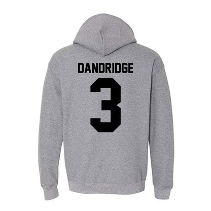Pitt State - NCAA Baseball : Seth Dandridge - Hooded Sweatshirt-3