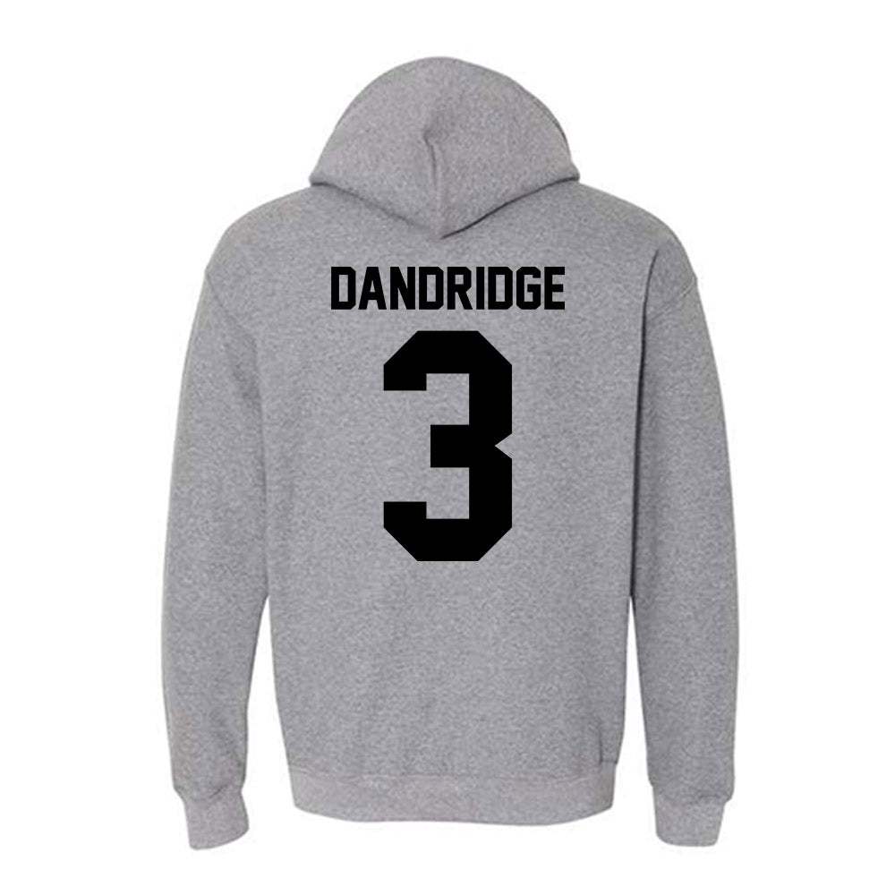 Pitt State - NCAA Baseball : Seth Dandridge - Hooded Sweatshirt-2