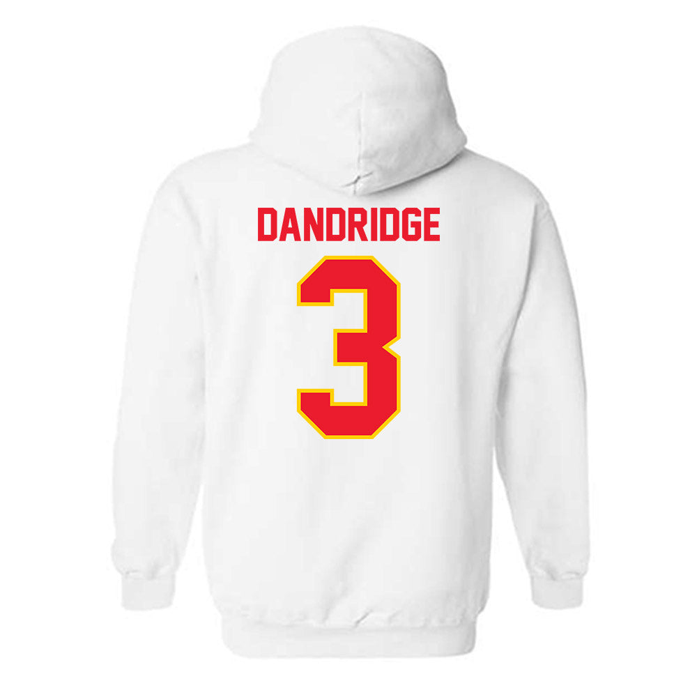 Pitt State - NCAA Baseball : Seth Dandridge - Hooded Sweatshirt-1