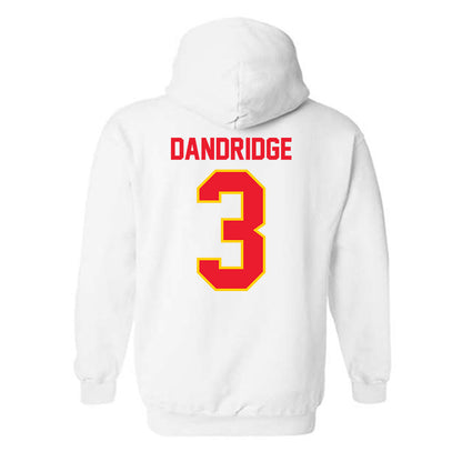 Pitt State - NCAA Baseball : Seth Dandridge - Hooded Sweatshirt-1