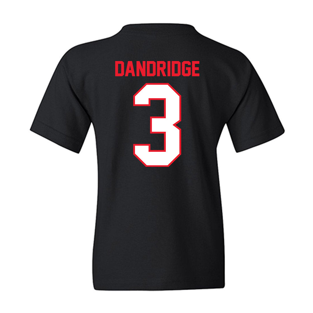 Pitt State - NCAA Baseball : Seth Dandridge - Youth T-Shirt-1