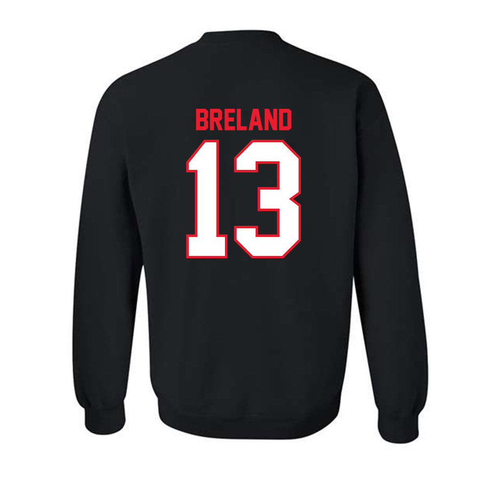 Pitt State - NCAA Men's Basketball : EJ Breland - Crewneck Sweatshirt-1