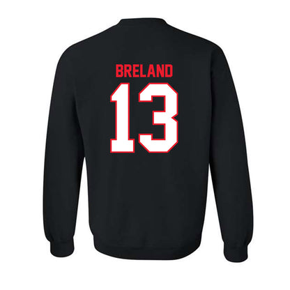 Pitt State - NCAA Men's Basketball : EJ Breland - Crewneck Sweatshirt-1