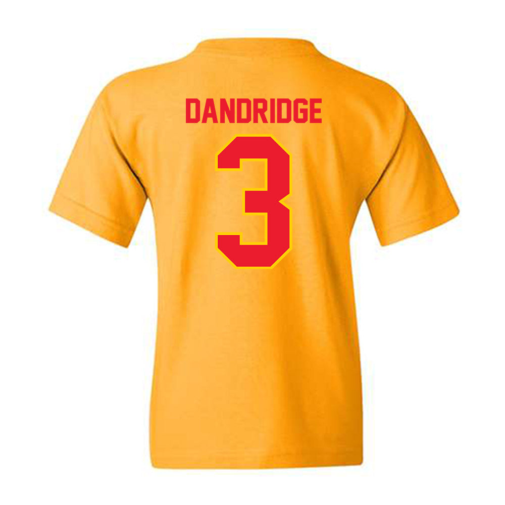 Pitt State - NCAA Baseball : Seth Dandridge - Youth T-Shirt-1