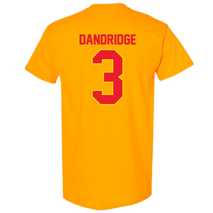 Pitt State - NCAA Baseball : Seth Dandridge - T-Shirt-1