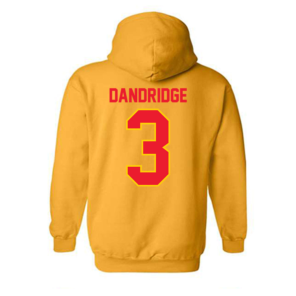 Pitt State - NCAA Baseball : Seth Dandridge - Hooded Sweatshirt-1