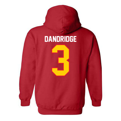 Pitt State - NCAA Baseball : Seth Dandridge - Hooded Sweatshirt-1