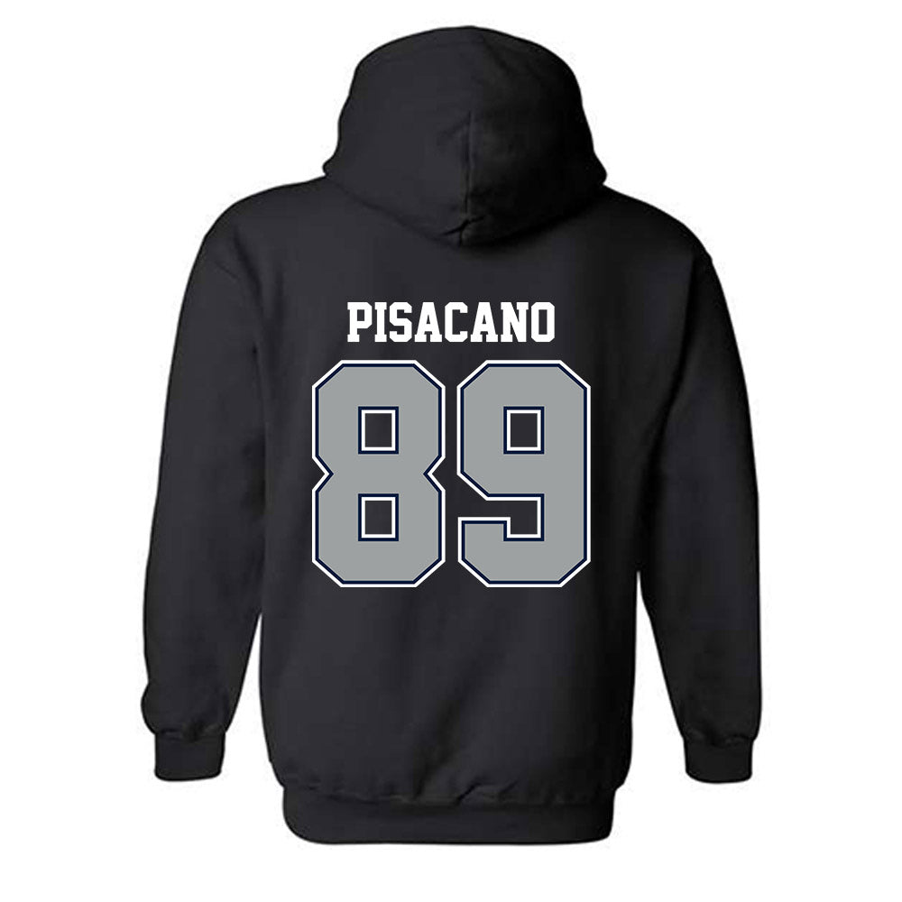 Longwood - NCAA Softball : Sophia Pisacano - Classic Shersey Hooded Sweatshirt-1