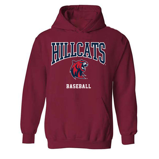 RSU - NCAA Baseball : Alex Dehzad - Classic Shersey Hooded Sweatshirt-0