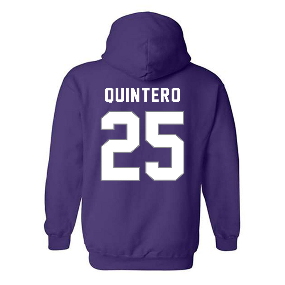 Weber - NCAA Softball : McKenzie Quintero - Classic Shersey Hooded Sweatshirt-1