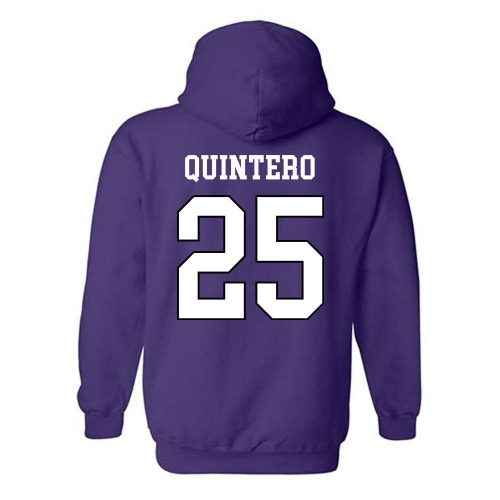 Weber - NCAA Softball : McKenzie Quintero - Classic Shersey Hooded Sweatshirt-1